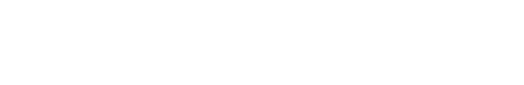 丝路金桥集团 Silk Bridge Group